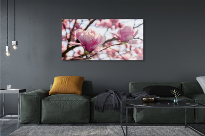 Quadro su vetro Alberi di magnolia