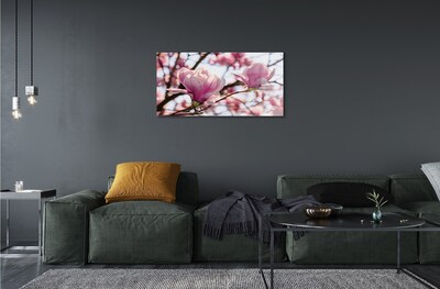 Quadro su vetro Alberi di magnolia