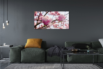 Quadro su vetro Alberi di magnolia