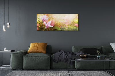 Quadro su vetro Magnolia sole