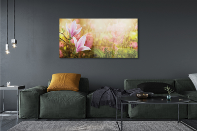 Quadro su vetro Magnolia sole