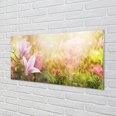 Quadro su vetro Magnolia sole