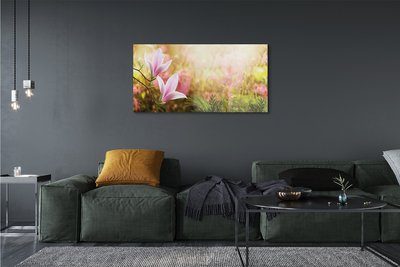 Quadro su vetro Magnolia sole