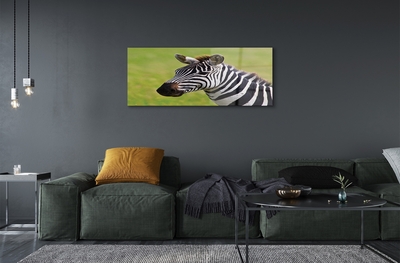 Quadro vetro Zebra