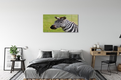 Quadro vetro Zebra