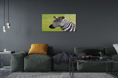 Quadro vetro Zebra