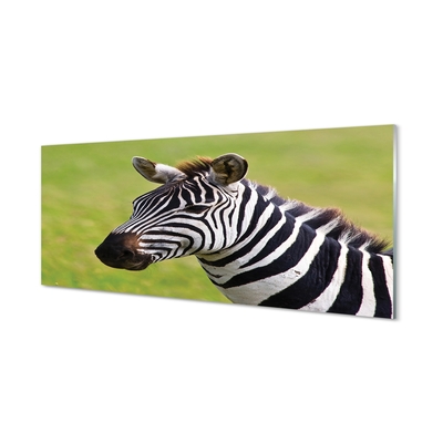 Quadro vetro Zebra