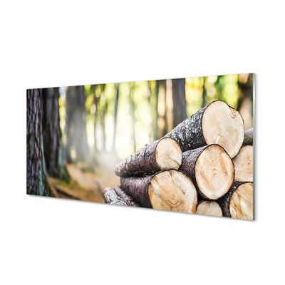 Quadro vetro Bosco natura foresta