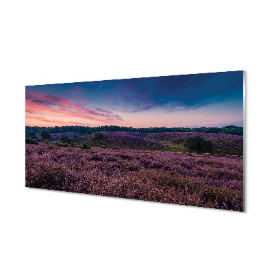 Quadro in vetro Campo di heather