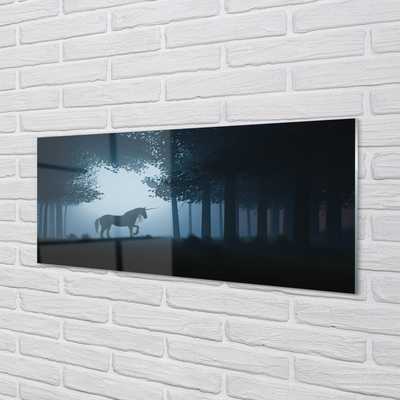 Quadro vetro Unicorno notturno della foresta