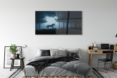 Quadro vetro Unicorno notturno della foresta