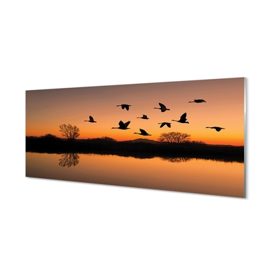 Quadro in vetro Uccelli volanti al tramonto