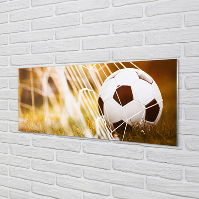 Quadro in vetro Pallone giallo sfondo erba