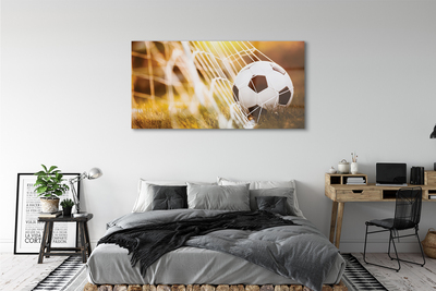 Quadro in vetro Pallone giallo sfondo erba