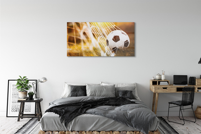 Quadro in vetro Pallone giallo sfondo erba