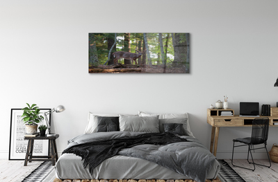 Quadro di vetro Foresta di cervi