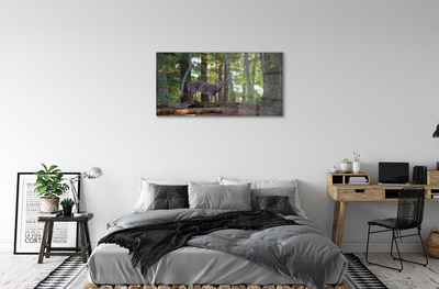 Quadro di vetro Foresta di cervi