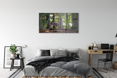 Quadro di vetro Foresta di cervi