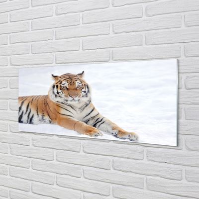 Quadro di vetro La neve invernale della tigre