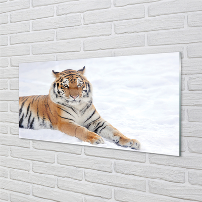 Quadro di vetro La neve invernale della tigre