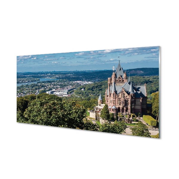 Quadro di vetro Germania castello panoramico della città