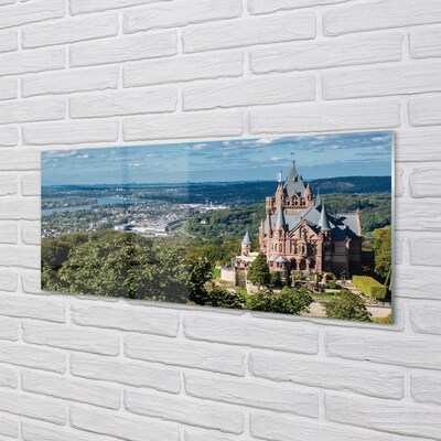 Quadro di vetro Germania castello panoramico della città