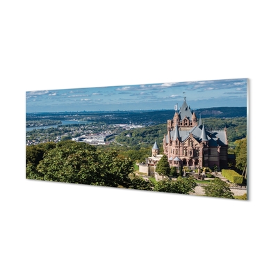 Quadro di vetro Germania castello panoramico della città