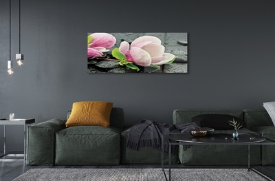 Quadro di vetro Pietre di magnolia