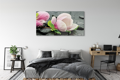 Quadro di vetro Pietre di magnolia