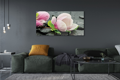 Quadro di vetro Pietre di magnolia