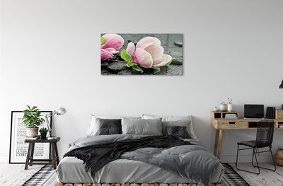 Quadro di vetro Pietre di magnolia