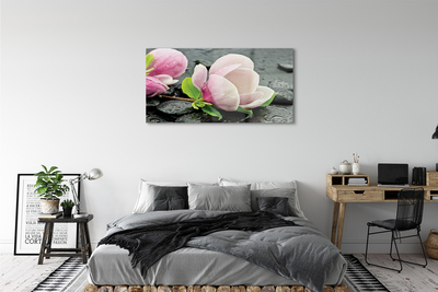 Quadro di vetro Pietre di magnolia