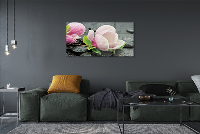 Quadro di vetro Pietre di magnolia