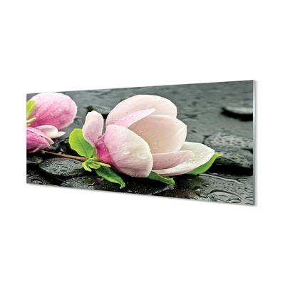 Quadro di vetro Pietre di magnolia
