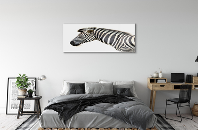 Quadro di vetro Zebra