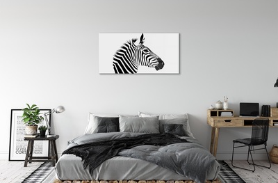 Quadro in vetro Illustrazione di una zebra