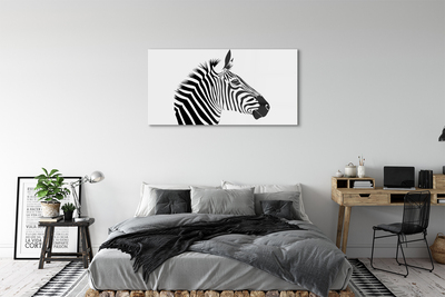 Quadro in vetro Illustrazione di una zebra