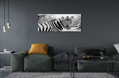 Quadro in vetro Zebra retrò