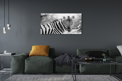 Quadro in vetro Zebra retrò