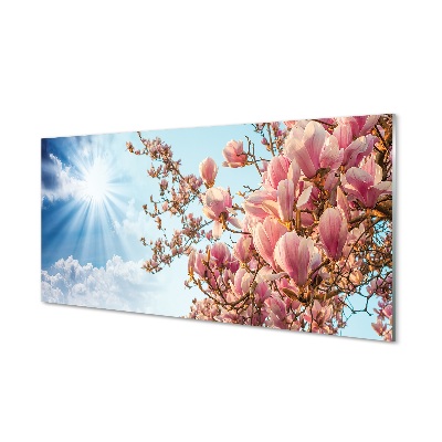 Quadro su vetro Magnolia cielo sole