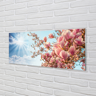 Quadro su vetro Magnolia cielo sole