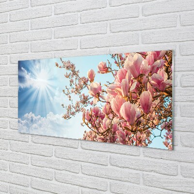 Quadro su vetro Magnolia cielo sole