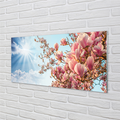 Quadro su vetro Magnolia cielo sole