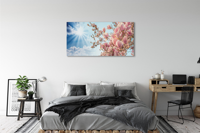 Quadro su vetro Magnolia cielo sole