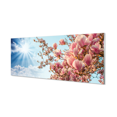 Quadro su vetro Magnolia cielo sole