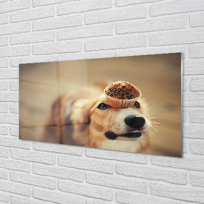 Quadro su vetro Cane da cupcake