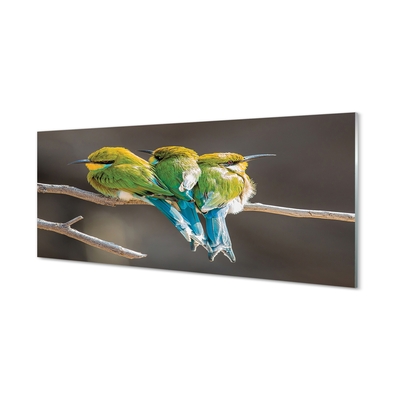 Quadro vetro Uccelli su un ramo