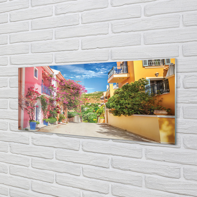 Quadro in vetro Grecia fiori edifici top