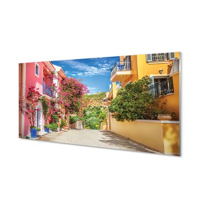 Quadro in vetro Grecia fiori edifici top