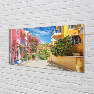 Quadro in vetro Grecia fiori edifici top